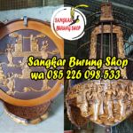 Sangkar Cungkok Anis Kembang