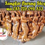 Sangkar Cungkok Anis Kembang