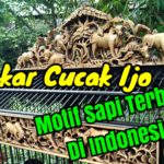 Pengrajin Sangkar Ukir Di Jepara