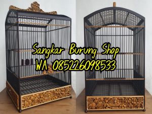 Sangkar Cungkok Cucak Ijo