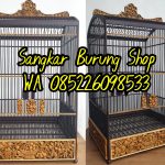 Sangkar Cungkok Cucak Ijo