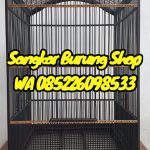 Sangkar Cungkok Cucak Ijo