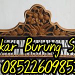Sangkar Cungkok Cucak Ijo