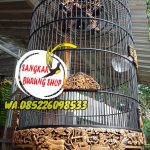 Sangkar Murai Ukir Karno Tanding