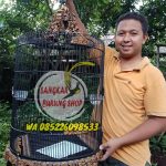 Sangkar Murai Ukir Karno Tanding