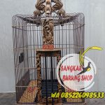 Sangkar Cungkok Anis Oval Tanpa Tiang