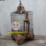Sangkar Cungkok Anis Oval Tanpa Tiang