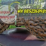 Sangkar Cungkok Anis Oval Tanpa Tiang