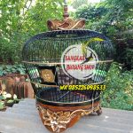 Sangkar Derkuku Ukir Jepara