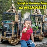 Sangkar Jepara Siap Geser Model Cungkok