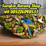 Jual Sangkar Murai Ukir Burung