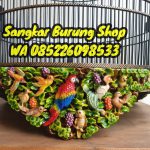 Jual Sangkar Murai Ukir Burung