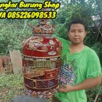 Harga Sangkar Perkutut Termahal Di Indonesia