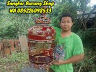 Harga Sangkar Perkutut Termahal Di Indonesia