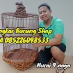 Jual Sangkar Murai Ukir 9 Naga