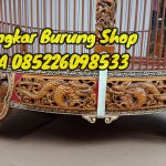 Jual Sangkar Murai Ukir 9 Naga