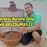 Jual Sangkar Murai Ukir 9 Naga