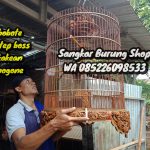 Jual Sangkar Murai Ukir 9 Naga