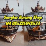 Jual Sangkar Puter Pelung