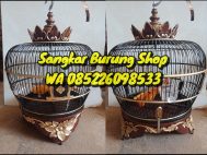 Jual Sangkar Puter Pelung