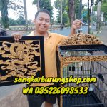 Sangkar Cucak Rowo Ukir 9 Naga