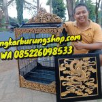 Sangkar Cucak Rowo Ukir 9 Naga